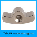 Irregular shape neodymium/NdFeB permanent Magnet